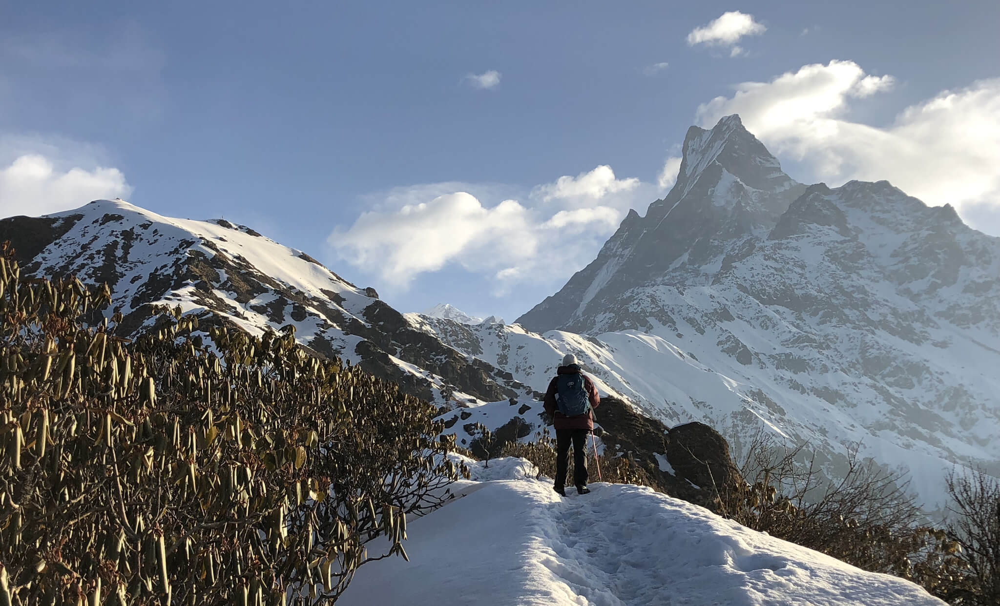 trekking in Nepal 2023